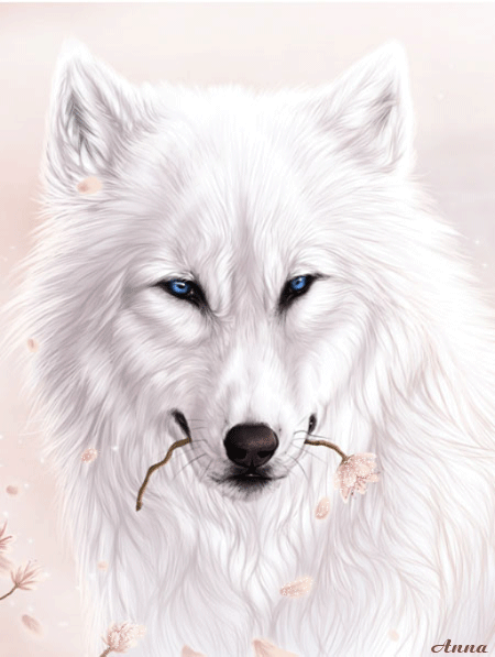 Белый волк - с животными, gif скачать бесплатно