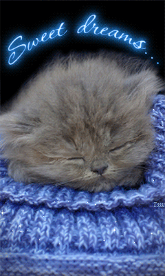 Спящий пушистый котенок