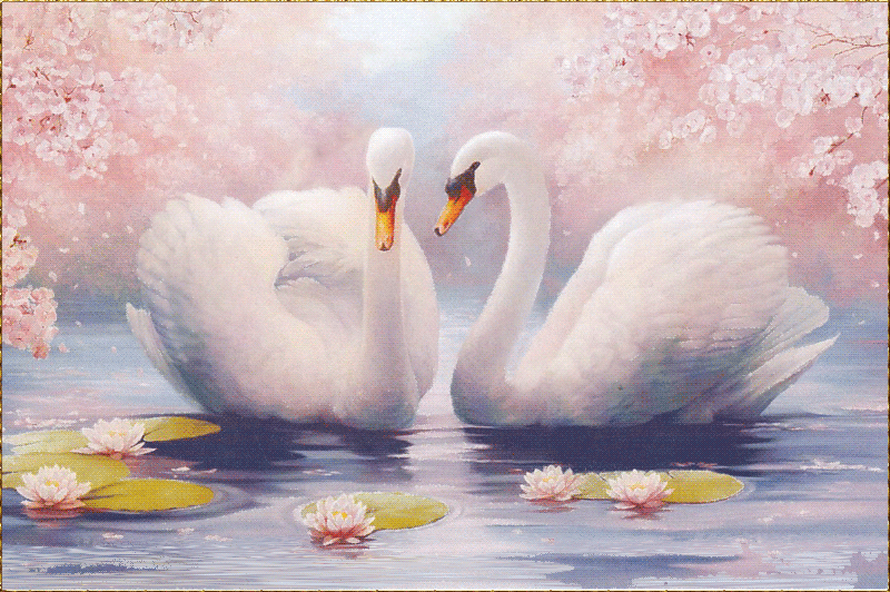 Картина «Два лебедя» - с животными, gif скачать бесплатно