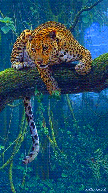 Леопард - Фото животных