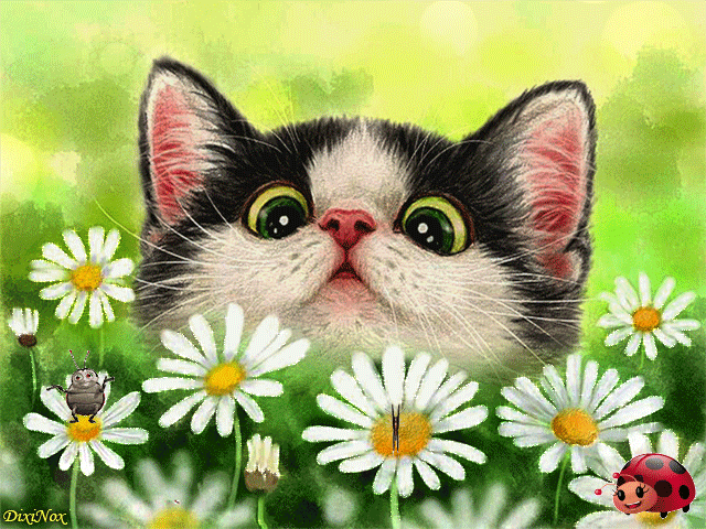 Кот в ромашках - Анимационные блестящие картинки GIF