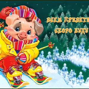 Новая открытка на новый год Свиньи