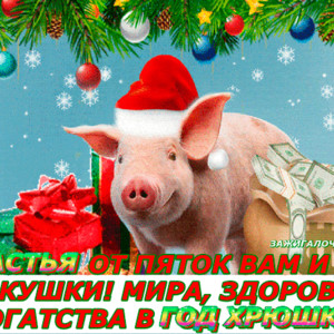 Поздравления с Новым годом свиньи в стихах