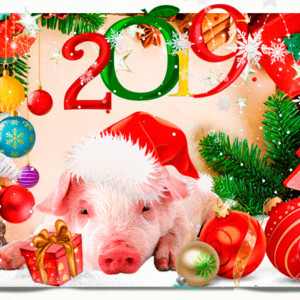 Открытка Свинка на новый год