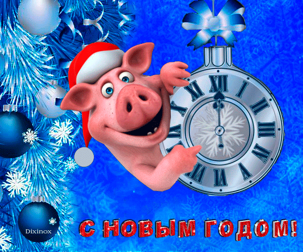 Картинки с новым годом свиньи - Год Свиньи, gif скачать бесплатно