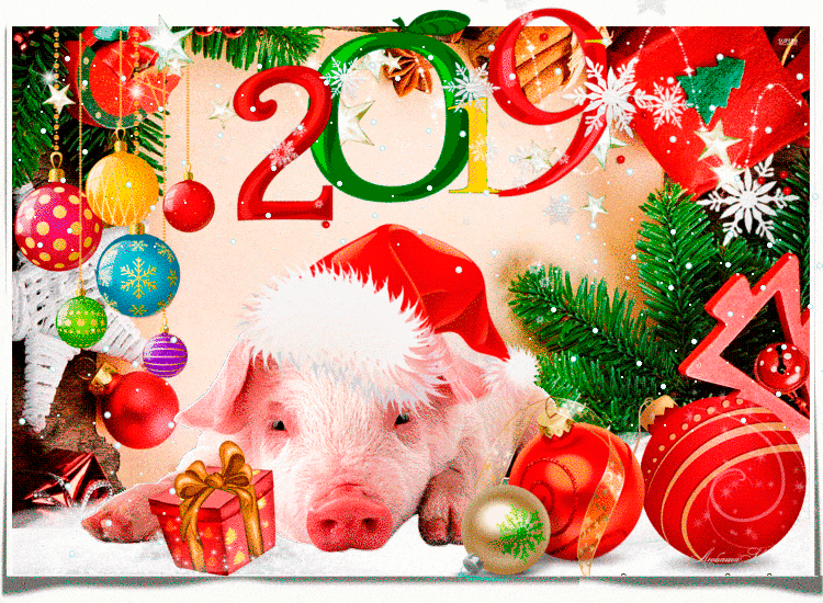 Открытка Свинка на новый год - Анимационные блестящие картинки GIF