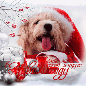 Год собаки открытка новогодняя