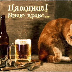 Кот с пивом
