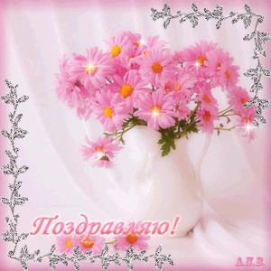 Розовые хризантемы с поздравлением - Поздравляю